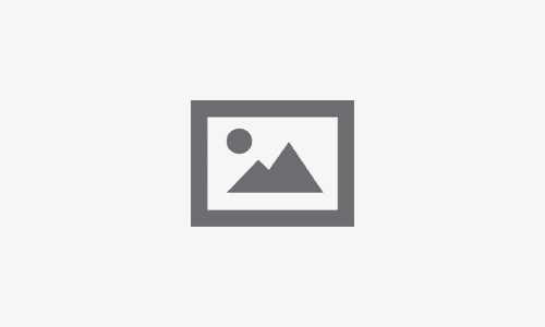The Execution-Driven Startup
